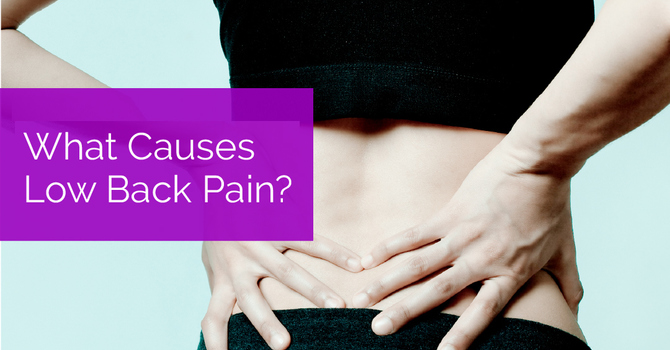 What Causes Low Back Pain? image